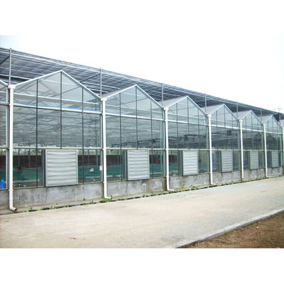 qualità  Tomato Mushroom Growing with Commercial Hydroponic Systems Gothic Polycarbonate Cover Type Greenhouse fabbrica