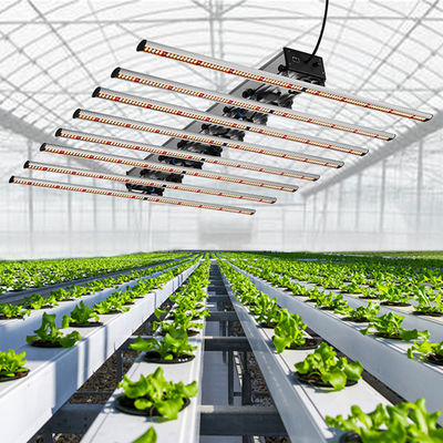 qualità  Seed Starting Full Spectrum Cob Led Grow Light For Medicinal Plants Veg And Flower 1000W LED Grow Light fabbrica