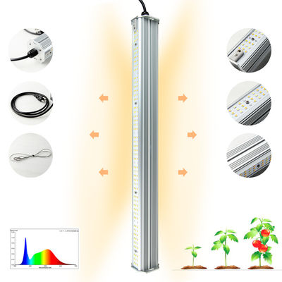 qualità  4 Feet Professional Double Sided Light Full Spectrum Waterproof LED Hydroponic Tube Grow Light Bar fabbrica