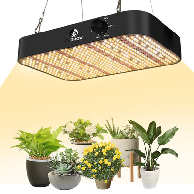 qualità  CFGROW 65W 200W Eco-friendly Full Spectrum Indoor Phyto Lamp 2 x 4 Panel Grow Tent Plant Growth Farmer LED Grow Light fabbrica