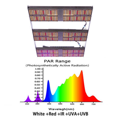qualità  Seed Starting Seed Starting Bava lm301b lm301h Indoor Vertical Farming Grow Tent 1000w 810w 600w Led Grow UV Light IR For Indoor Greenhouse fabbrica