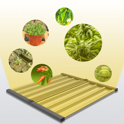 qualità  Seed Seed Growing Full Spectrum 600W Indoor Plants Hydroponic Lamp Folding Greenhouse Lamp Dimmable 4x4 lm301h Led Grow Light fabbrica